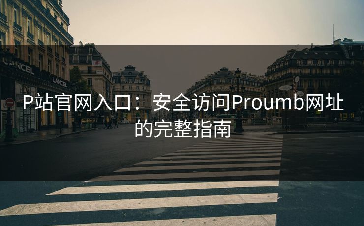 P站官网入口：安全访问Proumb网址的完整指南
