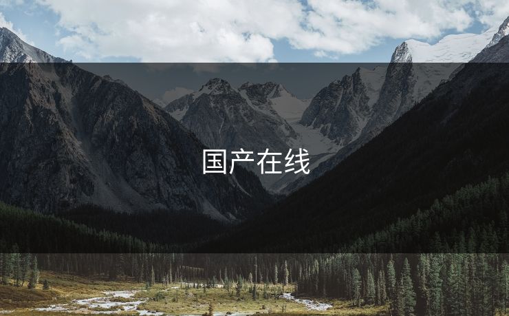 国产在线